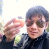 毁歌哥哥的头像