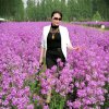 诚信春花秋实的头像