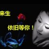 燕的头像