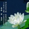 山思的头像
