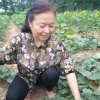 静若菊花的头像