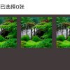 自由者的头像