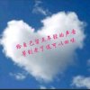 淡的头像