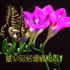 浮云的头像