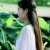 诺兰的头像