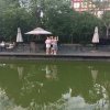 无言的头像