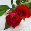 玫瑰的头像