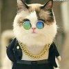 幸福生活的头像