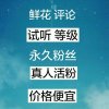 服务总站的头像