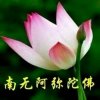 冰静莲[演艺]视力不好只送花的头像