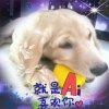 *☙.桃李.:*的头像