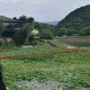 田野的头像