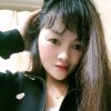 燕子的头像