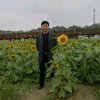 人生易老的头像
