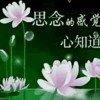 望穿秋水  拒私信的头像