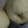 梅花园的头像