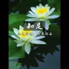 许光利的头像