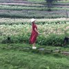 时光漫步的头像