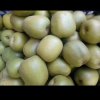深思的头像