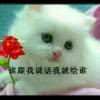 天涯的头像