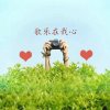 歌乐在我心的头像