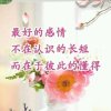人生如梦的头像