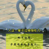 农民哥的头像