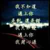 陈兵的头像