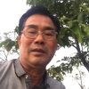 庭和利可兴（退）的头像