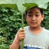 幸福之家老年公寓13613144714的头像