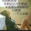 我的心你懂吗？的头像