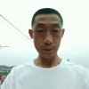 皇室青松的头像