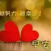 快乐的头像