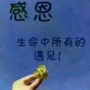 冰心的头像