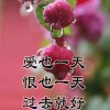 弥拉哆的头像