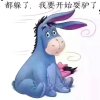 小春的头像