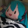 Life is but a span的头像