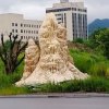 无雨的头像