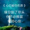 夜华首徒《命运就是如此》的头像