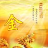  金 的头像
