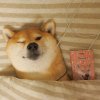 Aliiiiii吖_静的头像