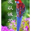 雄的头像
