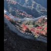 孙旺的头像