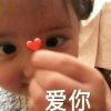 忘忧草的头像