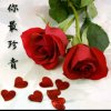 柠檬之夏的头像