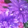 芳草玉玲的头像