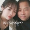 金碟豹的头像