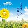 太阳花的头像