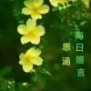曲未终，人已散的头像
