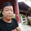 善歌的头像